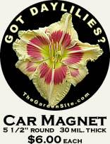 Got Daylilies Car Magnet