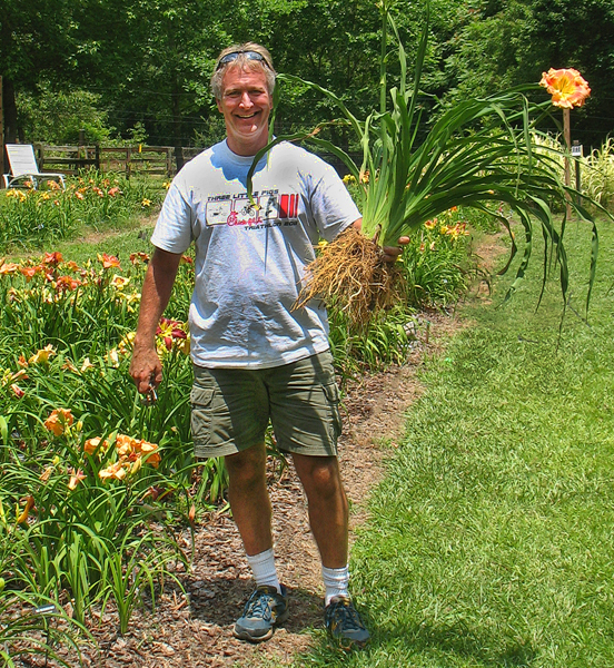 I love digging beautiful & healthy daylilies for you!! 