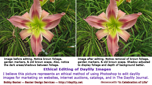 click image to enlarge